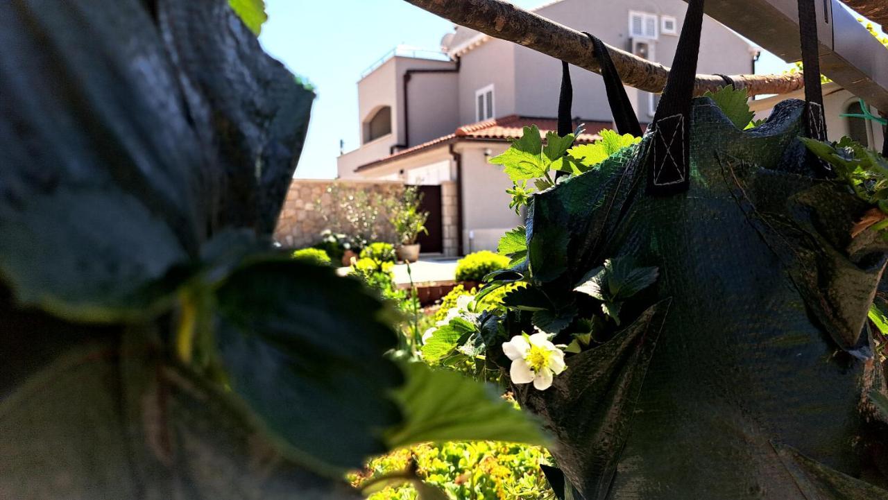 Dubrovnik Airport Apartment Tea Durovici Eksteriør billede